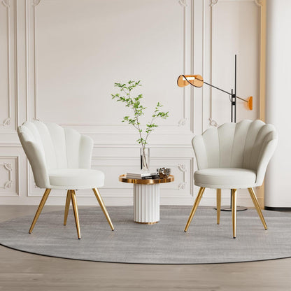 Samt Esszimmerstuhl mit Muschelsitz & Goldbeinen - Weiß x 2