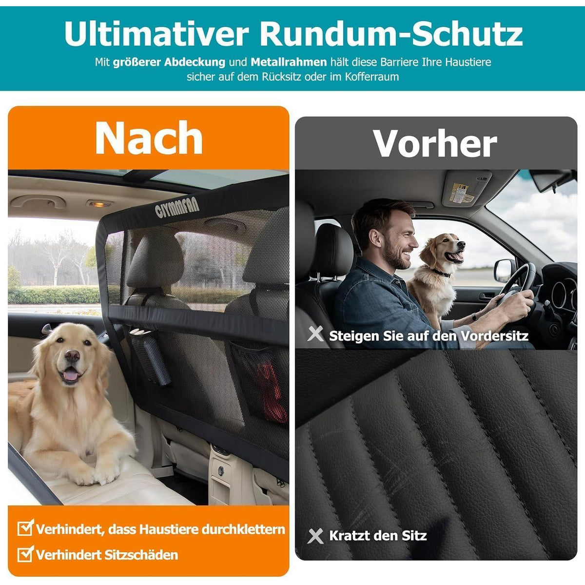 Hundegitter Auto Rücksitz & Kofferraum – Ausbruchsicher & Klar