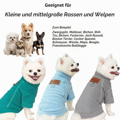 2er/3er Fleece Hundepullover – Warmer Rollkragen Sweater für kleine Hunde (Grau, Grün, Blau, S)