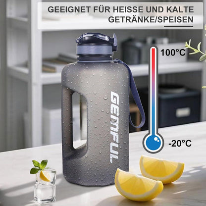 GEMFUL 2,2L Trinkflasche mit Strohhalm BPA-frei Grau für Sport & Alltag