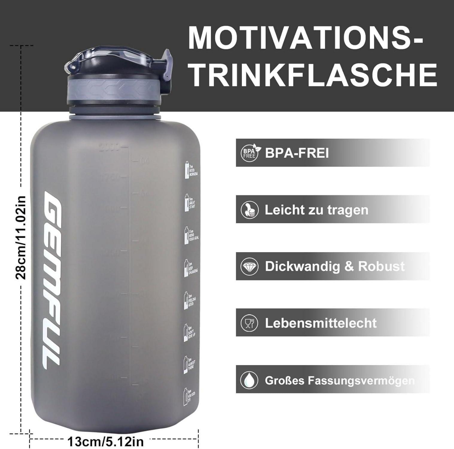2,2L Trinkflasche mit Strohhalm BPA-frei Auslaufsicher Tragegriff Grau