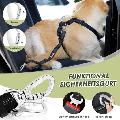2x Hunde Sicherheitsgurt Auto – Verstellbar & Ruckdämpfend