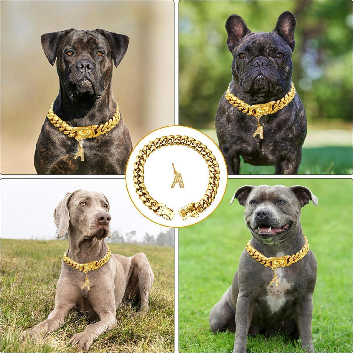 Goldene Hundekette 15mm mit Anhänger – 55cm