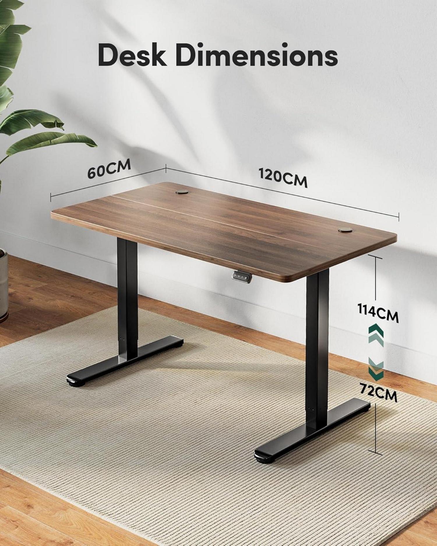 FEZIBO Elektrischer Stehschreibtisch 120x60 cm Schwarze