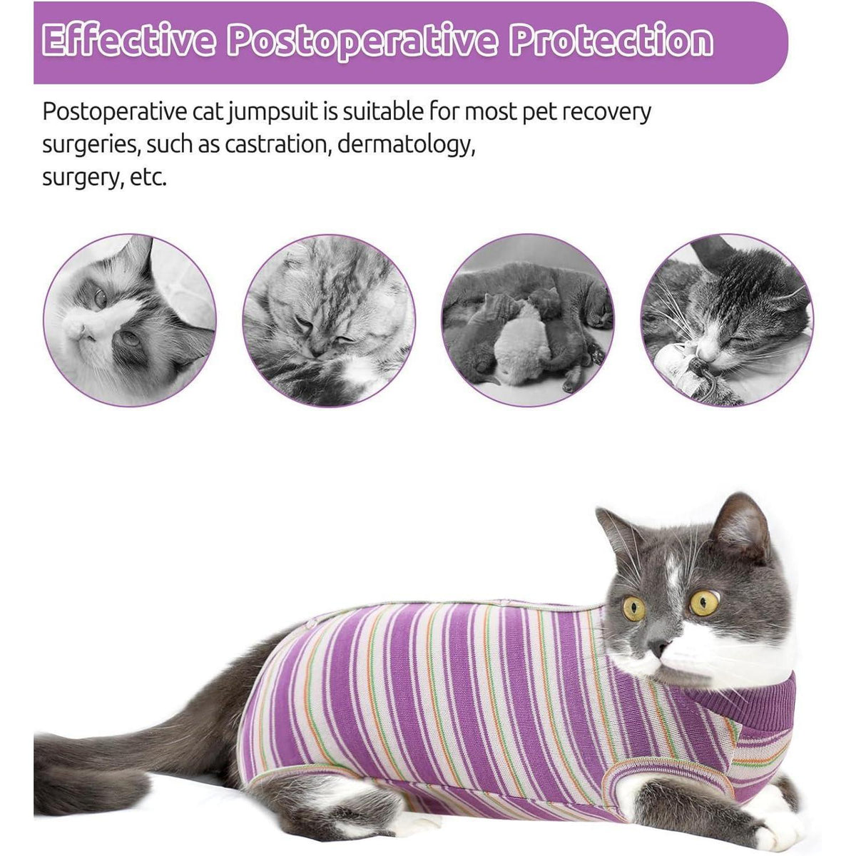 Katzen-OP-Body nach Operation, Bauchwunden-Schutz, Lila M