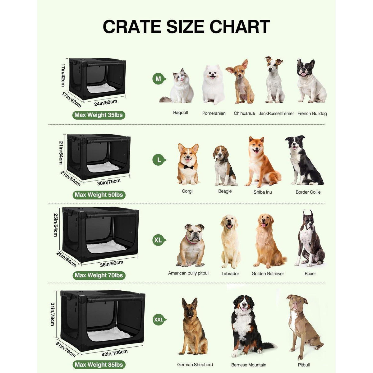 Faltbare Hundebox für mittelgroße Hunde – Reisebox mit Bett