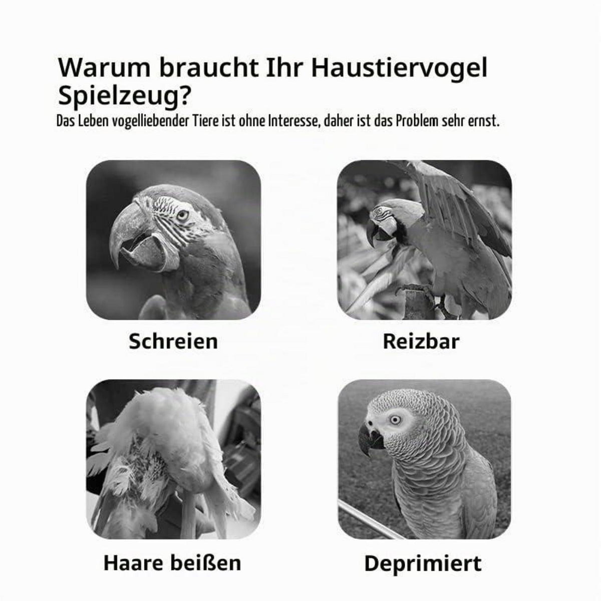 Vogelspielplatz aus Holz für Wellensittiche & Co. (48x33,5x94,5cm)