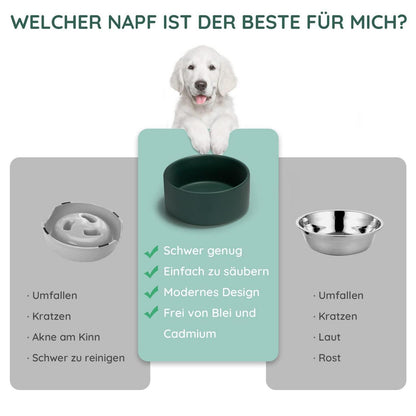 Keramik Hundenapf 850ml Grün – Stabil & Leicht zu Reinigen