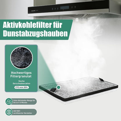 Aktivkohlefilter für Miele Dunstabzugshaube DKF 19-P