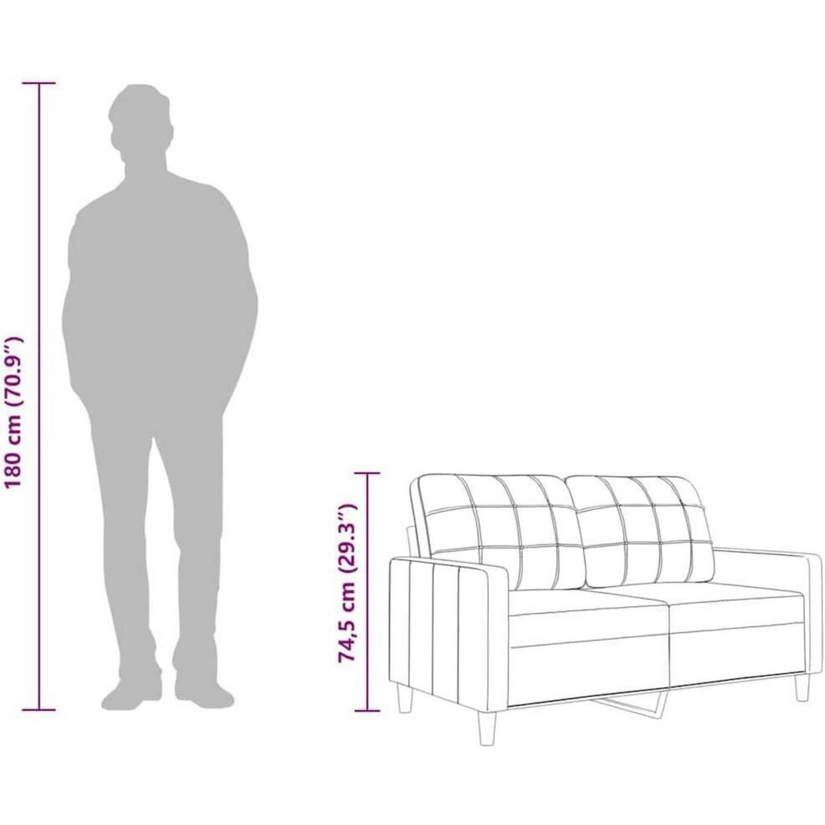 2-Sitzer Sofa Schwarz – Bequemes Polstersofa mit Kissen