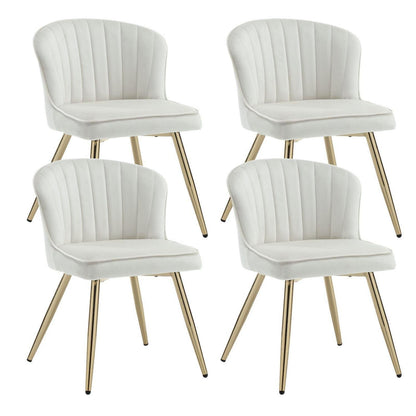 Samt Küchenstühle 4er Set – Beige, Modern & Bequem