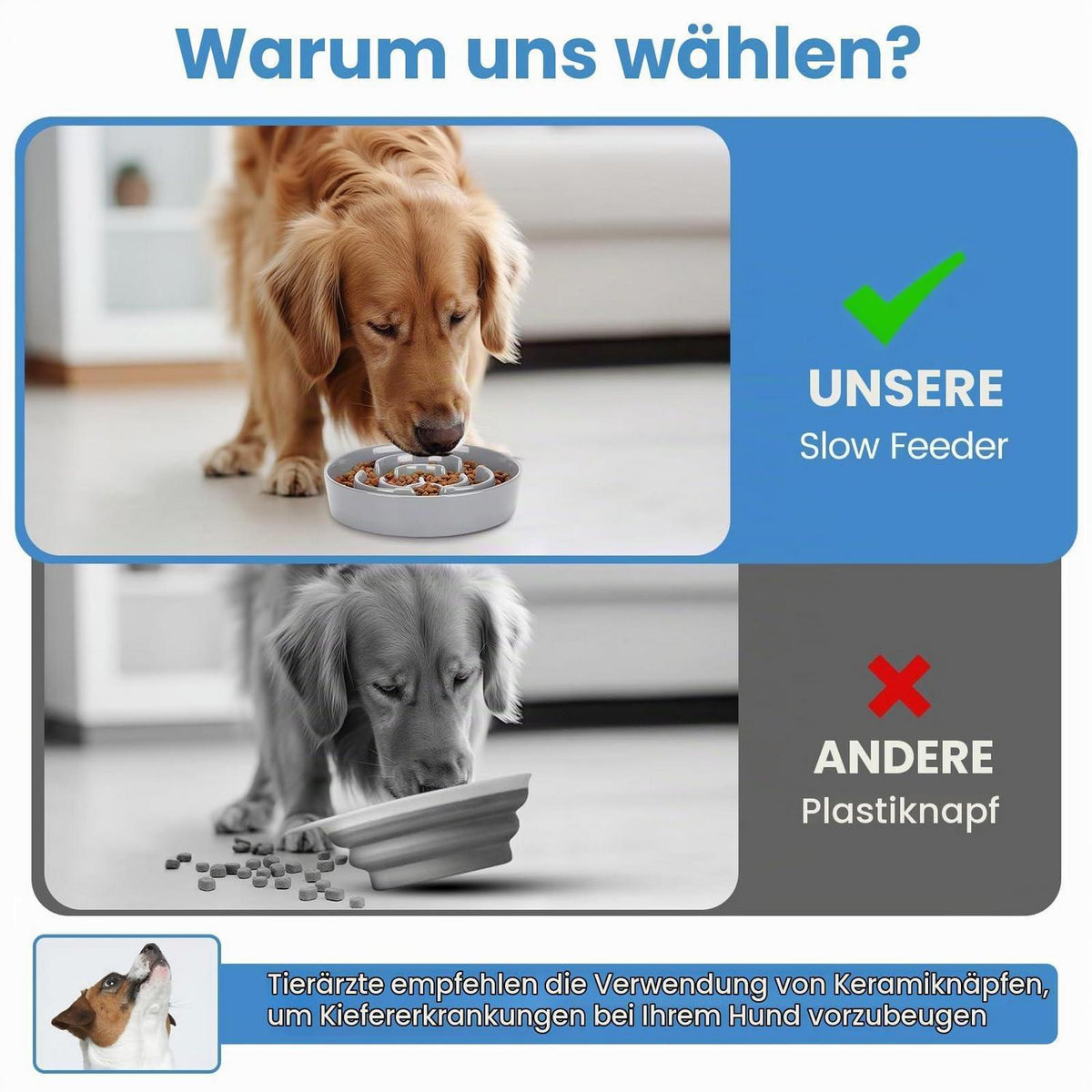 Antischlingnapf Keramik grau – Slow Feeder für Hunde