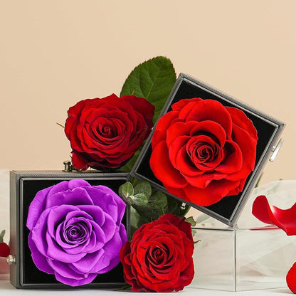 Ewige Rose Geschenkset mit Spieluhr & Kleeblatt Halskette Silber