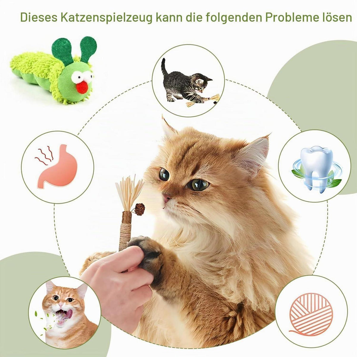 5x Katzenminze Spielzeug Raupe – Selbstbeschäftigung & Zahnreinigung