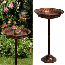 Vogeltränke Stehend – Winterfest & Robust für Garten & Balkon