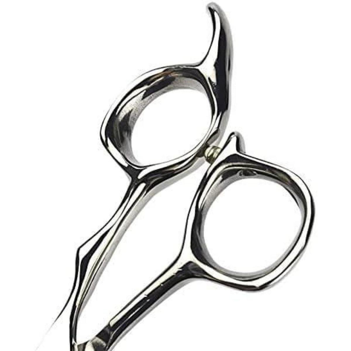 Professionelles Haarschneider Set 6 Zoll Edelstahl