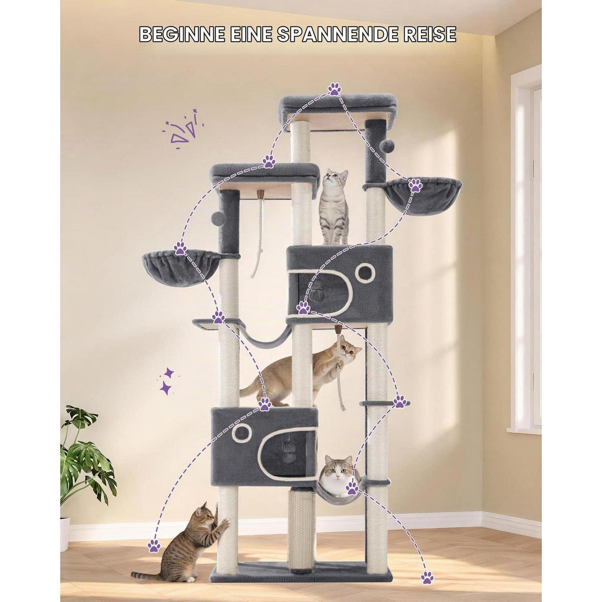 XXL Kratzbaum für Maine Coon Katzen – 213 cm, Stabil & Multifunktional
