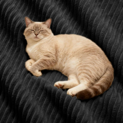 Modulares Ecksofa Cord Schwarz – Kein Aufbau, Tiefes Sitzgefühl