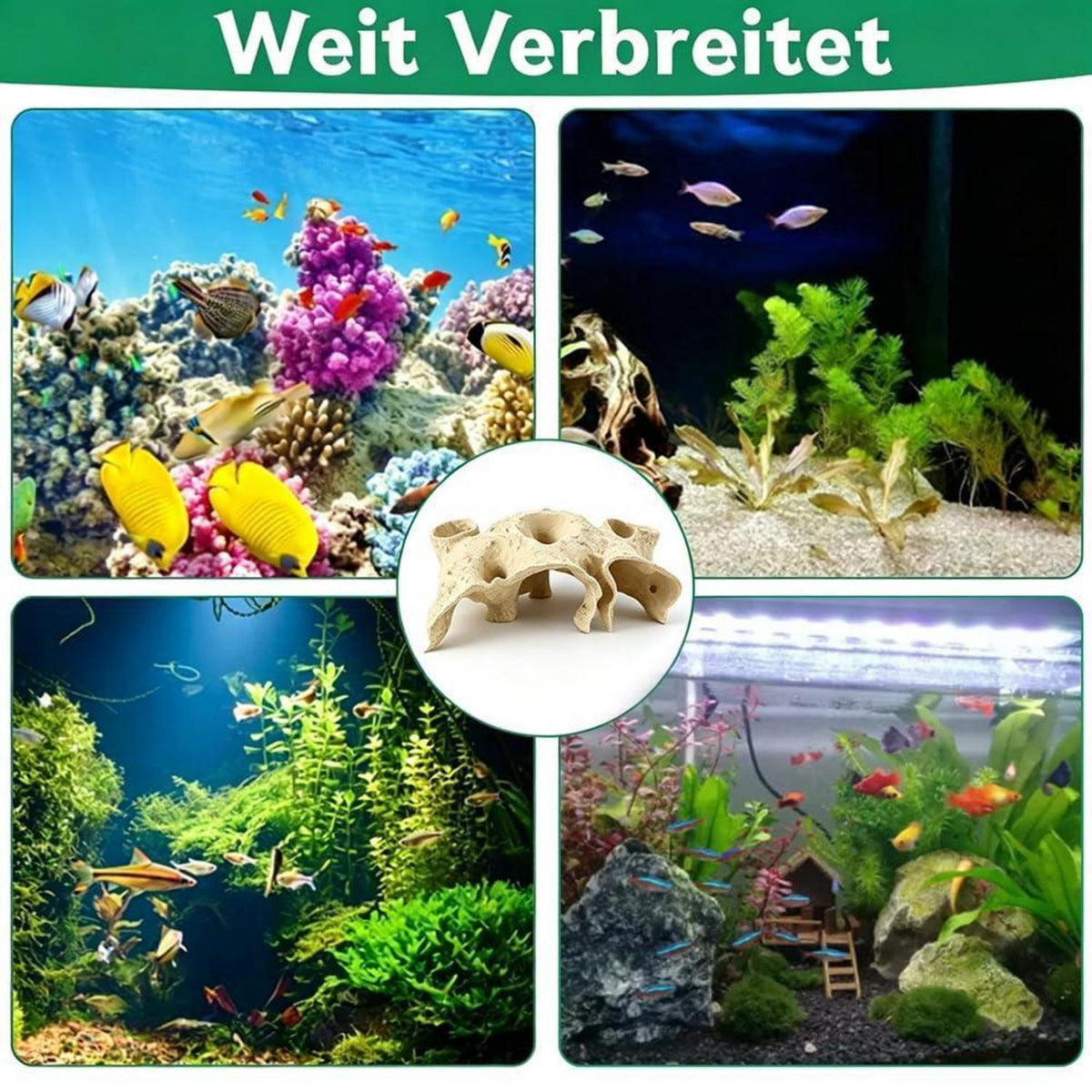 Aquarium Höhle Unterirdisch – Versteck für Garnelen & Nano-Fische